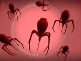 Nano-Virus