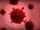 Virus