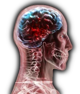 333.png (155 KB) Stage 3