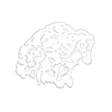 Disease's Old Icon used in the Early Builds of the Game