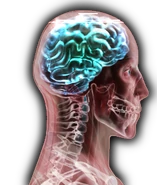 111.png (153 KB) Stage 1