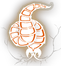 NeuraxWormIcon.png