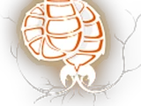 Neurax Worm