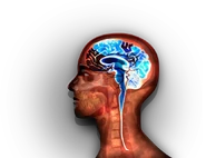 MRI stage03@2x.png (337 KB) Stage 3