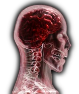 444.png (149 KB) Stage 4