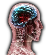 222.png (157 KB) Stage 2