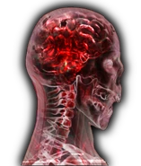 555.png (152 KB) Stage 5