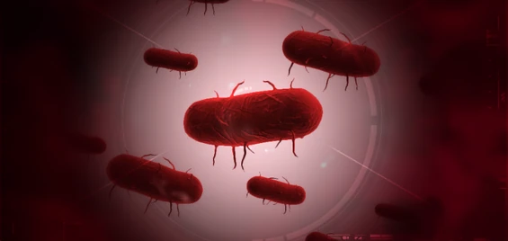 Plague Inc Evol. Evolved Bacteria ingame