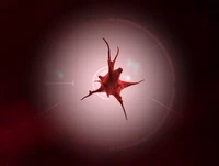 Простой геном