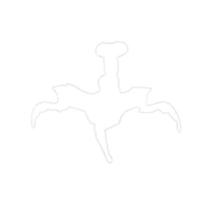 Disease's Old Icon used in the Early Builds of the Game