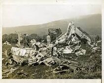 Wreckage of Lovetsville air disaster