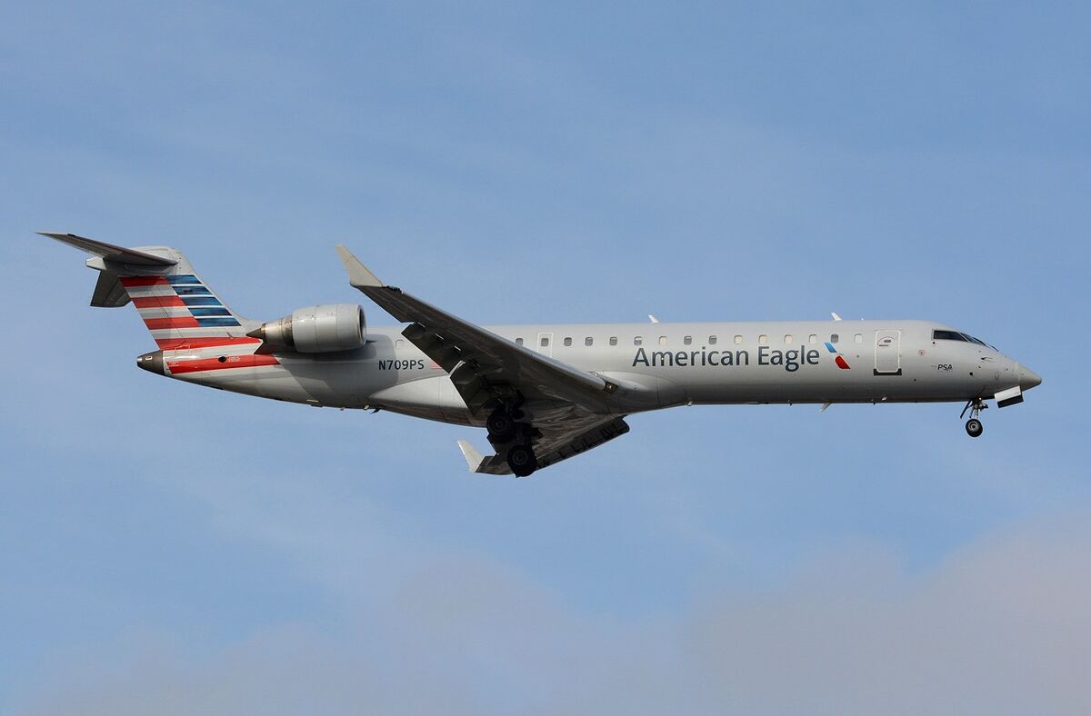 2025 Potomac River midair collision Plane Crash Wiki Fandom