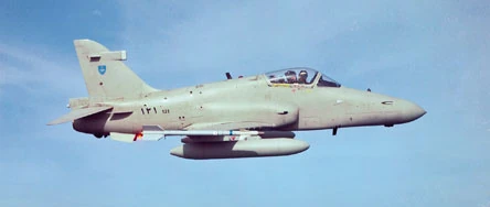 Al Kamil Airshow Disaster | Plane Crash Wiki | Fandom