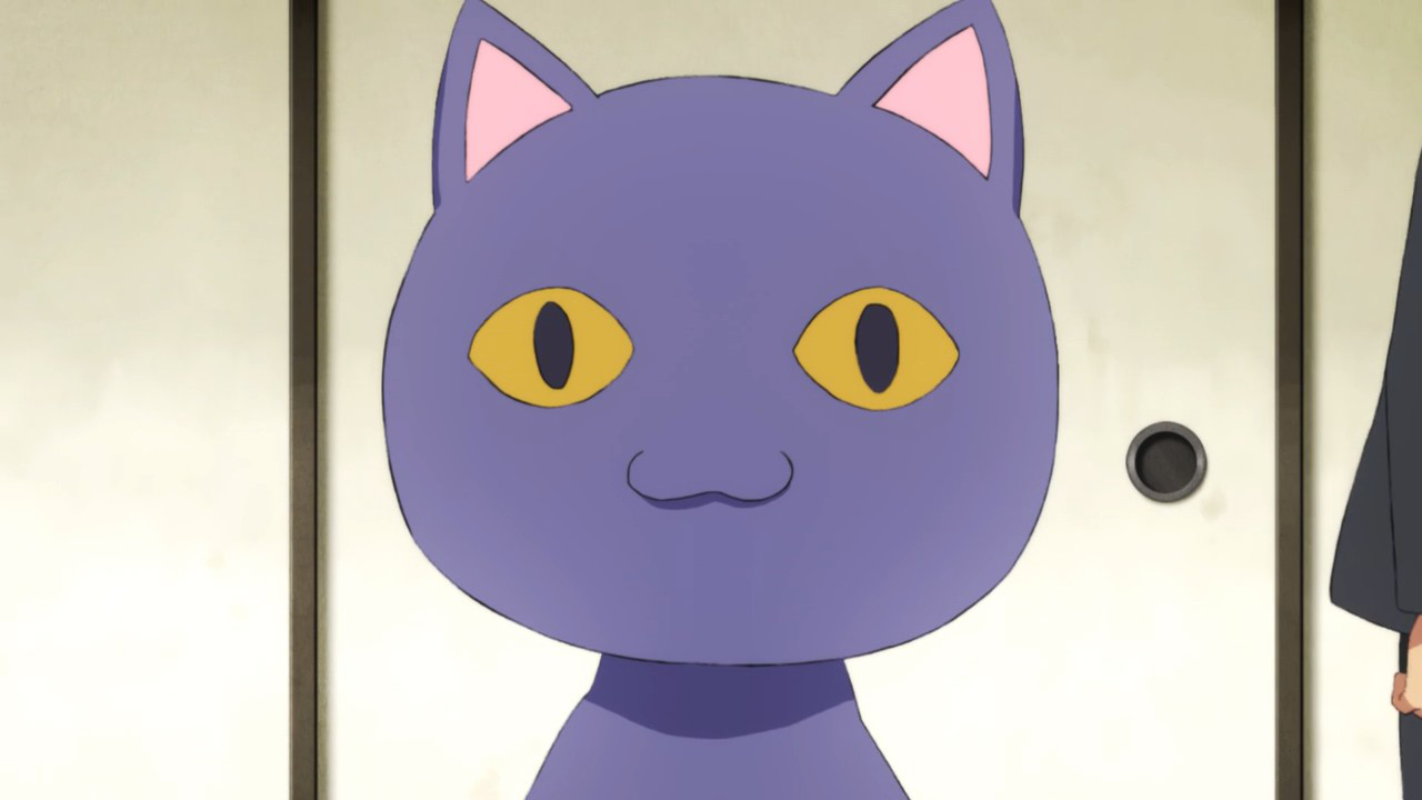 Purple cat animal and anime cat anime 1031993 on animeshercom