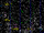Boötes void