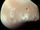 Deimos