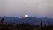 Mountain Moonset