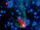 Black Widow Pulsar