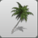 Palm Tree 3 icon