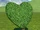 Topiary Heart