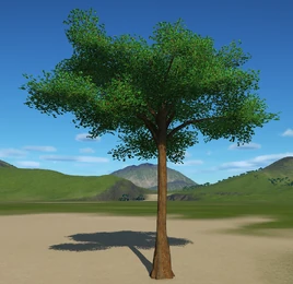 Planet Coaster - Kapok Tree 1