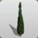 Tuscan Cypress Tree 1 icon