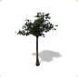 Planet Coaster - Kapok Tree 2 icon