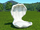 Clam Shell Statue