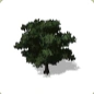 Planet Coaster - Oak Tree 1 icon