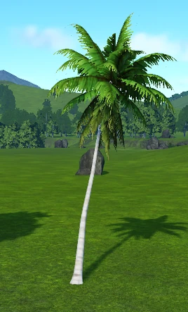Palm Tree 2