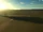 Grassland