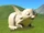 Gargoyle Drat
