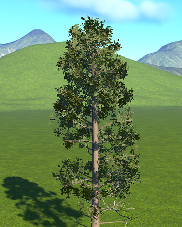 ponderosa pine 3 planet coaster wiki fandom planet coaster wiki fandom