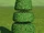 Topiary Layered 2