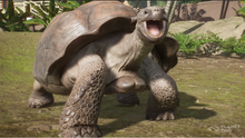 Planet Coaster - Giant Tortoise
