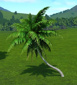 Palm Tree 3