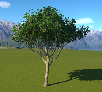 Planet Coaster - Marula Tree 2