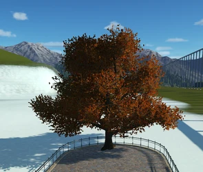 Oak Tree 1 Autumn version