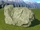Deciduous Rock 1 (Large)