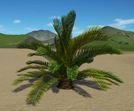 Planet Coaster - Sago Palm 1