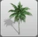 Palm Tree 1 icon