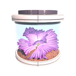 Plant Orema