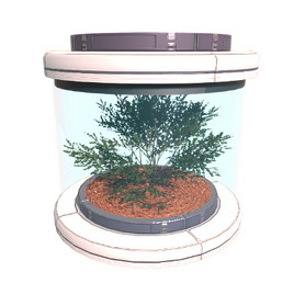Tree Seed Iterra