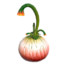 Squash