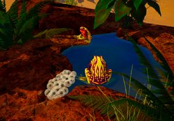 Amedo frogs and their eggs at a pond on an island in the Beach area.