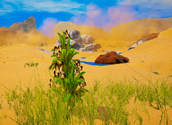 A rare plant growing here during Flora stage.