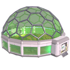 Butterfly Dome