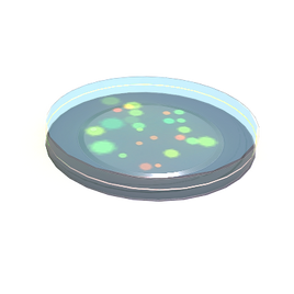 Bacteria Sample