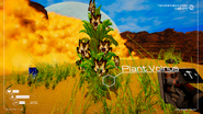 A Volnus plant generated in the Sand Falls.