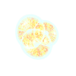 Phytoplankton A